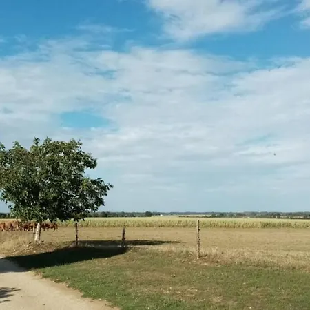 Les Gites De La Roche Elie *
